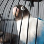 20180225_150454