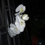 20180304_183951