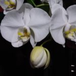 20180304_184038