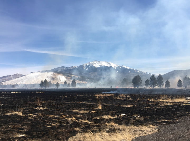 Kecelakaan Drone Picu Kebakaran Hutan di AS
