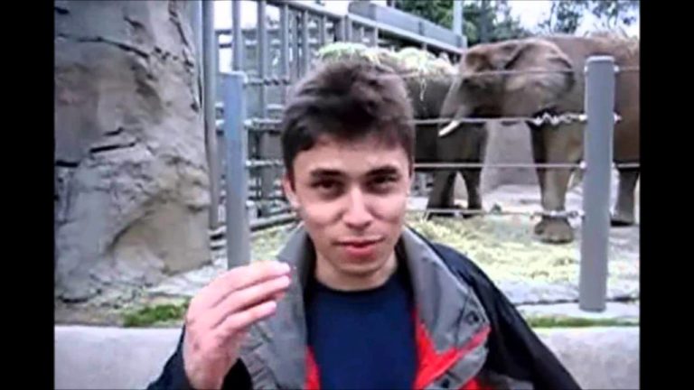 13 Tahun Lalu, Begini Video Pertama di YouTube