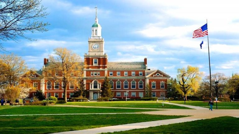 Ini Dia Daftar Kampus Pencetak CEO di Amerika