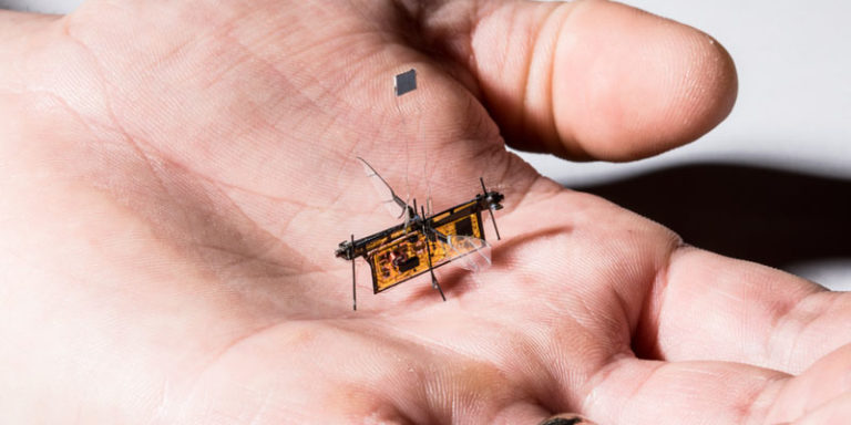 RoboFly, Robot Lalat Canggih Bertenaga Laser