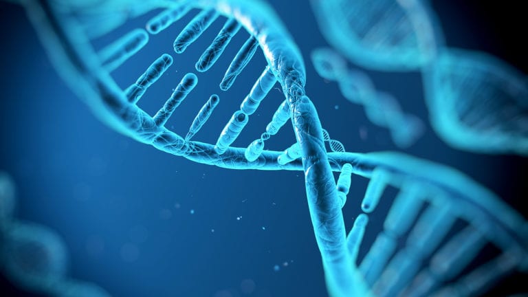 Platform Pengujian DNA Diretas, Lebih dari 92 Juta Akun Terungkap