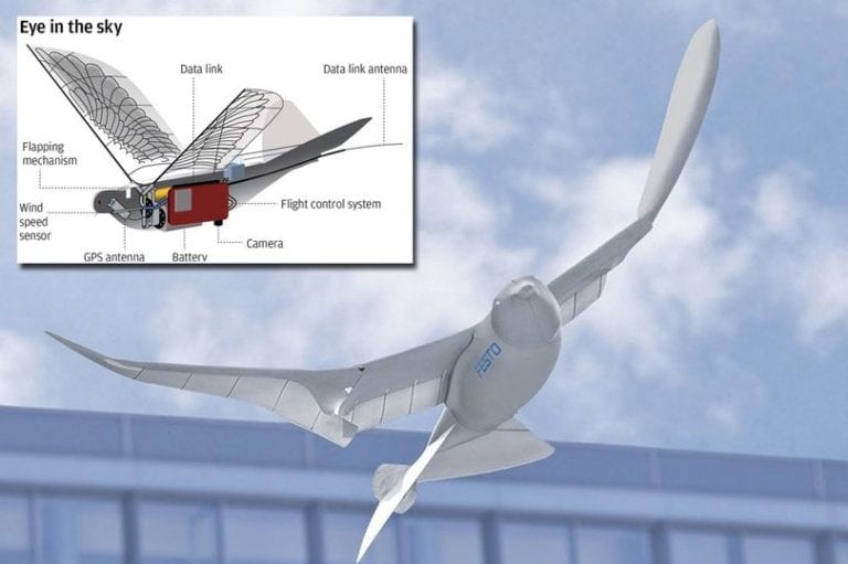 Kepo, Pemerintah China Awasi Warganya Pakai Drone Burung