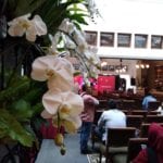IMG_20180703_114019