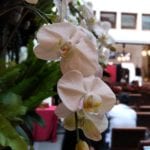 IMG_20180703_114029