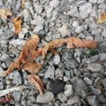 Hasil Foto Redmi S2-3