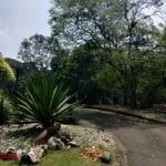 Hasil Foto Redmi S2-7