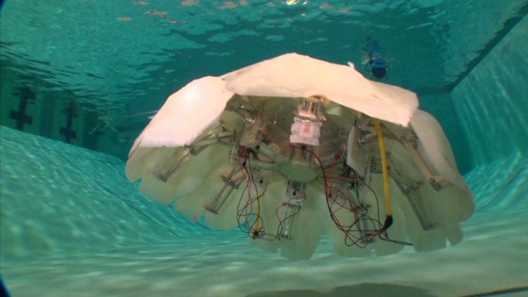 Jellybots, Si Robot Penjaga Terumbu Karang