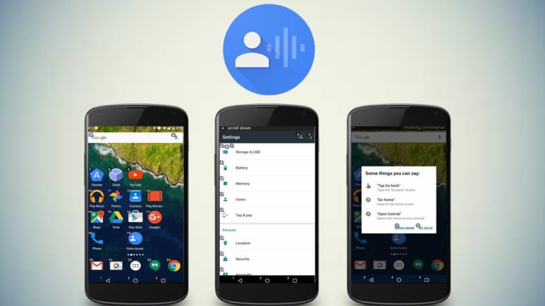 Aplikasi Voice Access