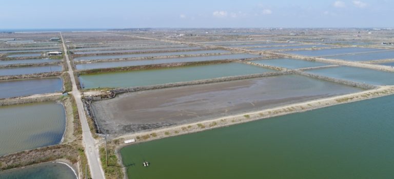 Google Garap Proyek Energi Tenaga Surya di Taiwan