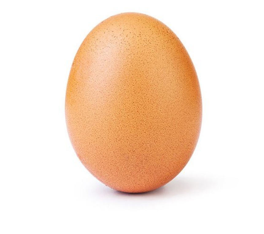 Paling Populer 30 Gambar Telur  Ayam Kartun  Gambar Kartun  Ku
