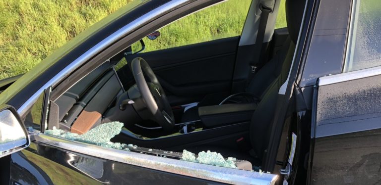 Elon Musk Tambahkan ‘Mode Anjing’ di Mobil Tesla