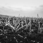 Nokia 9 PureView-7