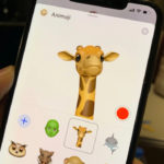 giraffe-animoji