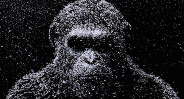 Seperti Planet of The Apes, Ilmuwan Ciptakan Monyet Super Cerdas