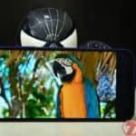 Redmi 7