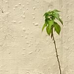 IMG20190426114101
