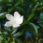 IMG_20190517_124006