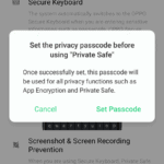private safe2