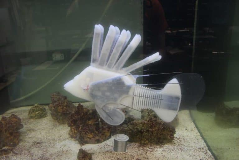 Hiii… Robot Ikan Ini Punya Darah