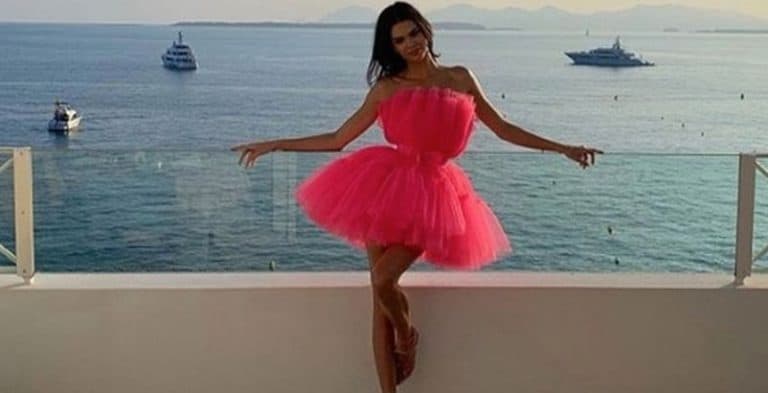 Pose Flamingo