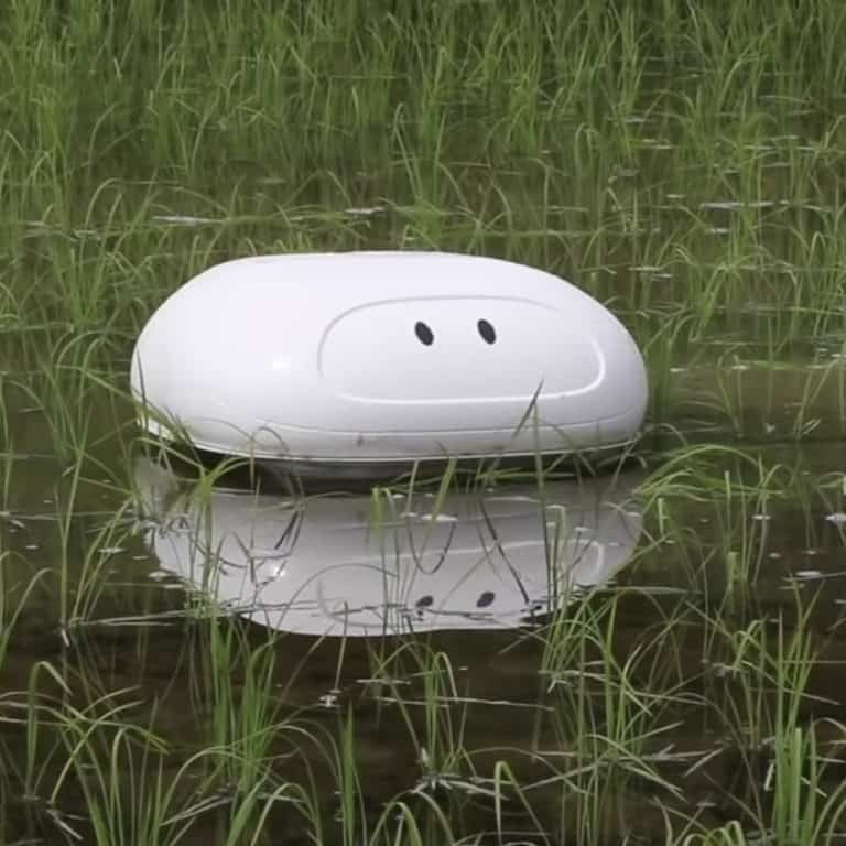 Robot Bebek Ini Siap Bantu Petani Basmi Gulma