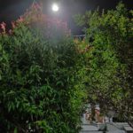 with Nightscape-1