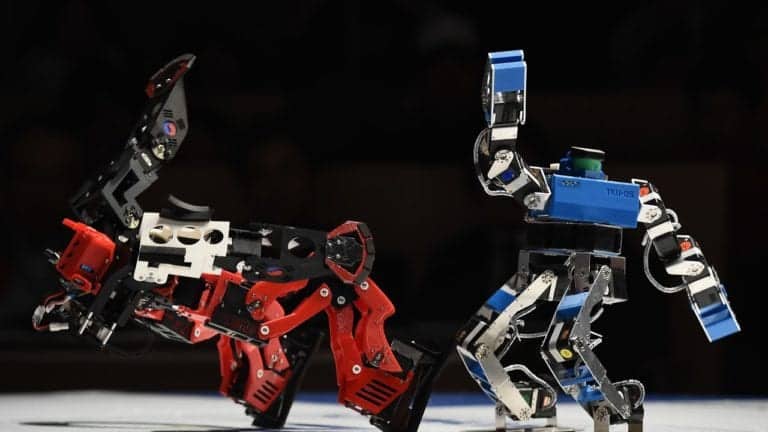 Video Adu Robot