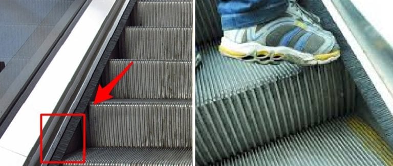 Tahukah Anda Fungsi Sikat di Eskalator?