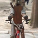 zoom