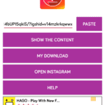 Download video Instagram-2