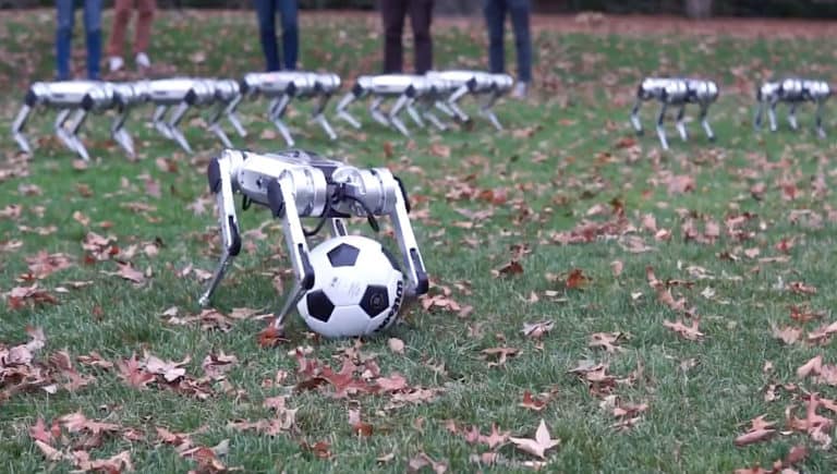 Robot Mini Cheetah