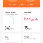 Huawei Watch GT 2 Apps