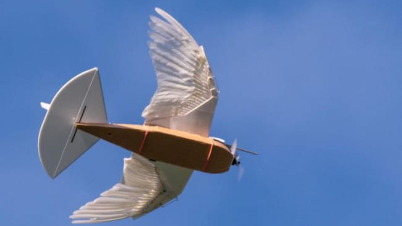 Robot Burung Ini Berbulu Dan Terbang Seperti Burung Merpati Telset
