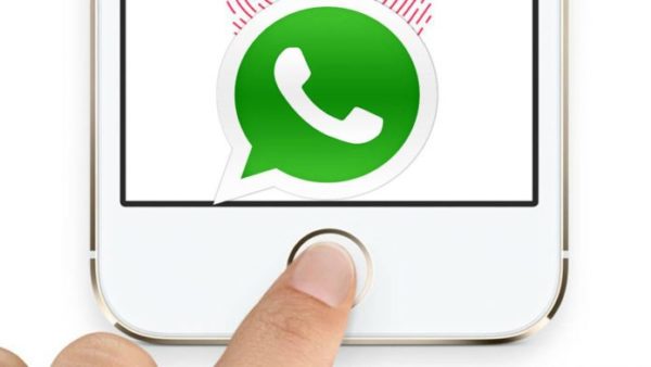 Privasi dan Keamanan WhatsApp 