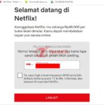 Akun Netflix Kartu Kredit 5