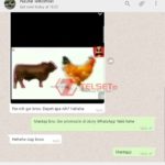 Permainan WhatsApp Tangkap Sapi Ayam