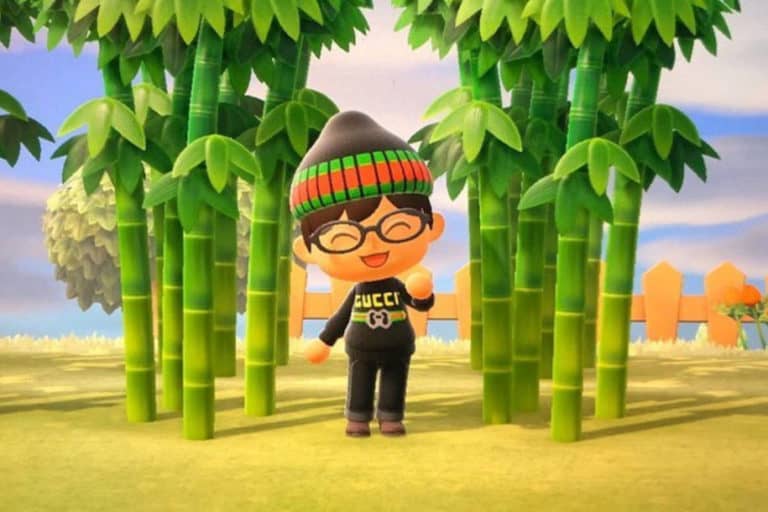 Animal Crossing