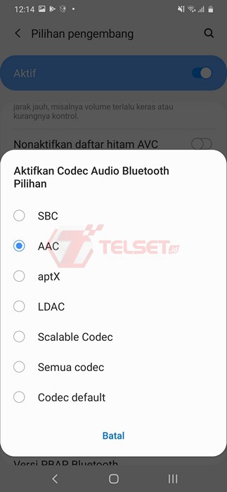 apa itu sbc