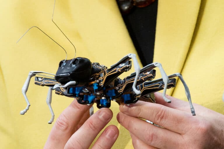 Peneliti akan Kirim Robot Serangga untuk Jelajahi Planet Lain
