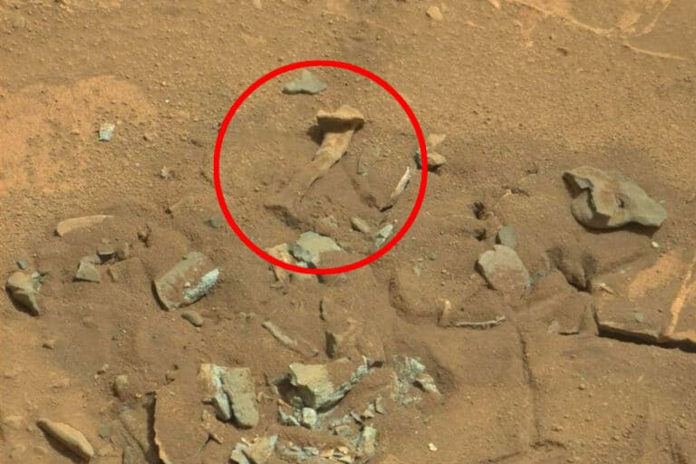 Heboh Penemuan Tulang Manusia di Mars, Ini Penjelasannya