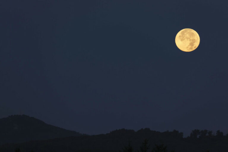 Umur Bulan