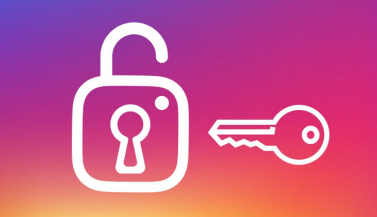 bug instagram