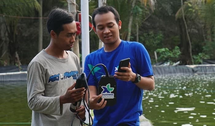 XL Smart Aquaculture petani tambak ikan