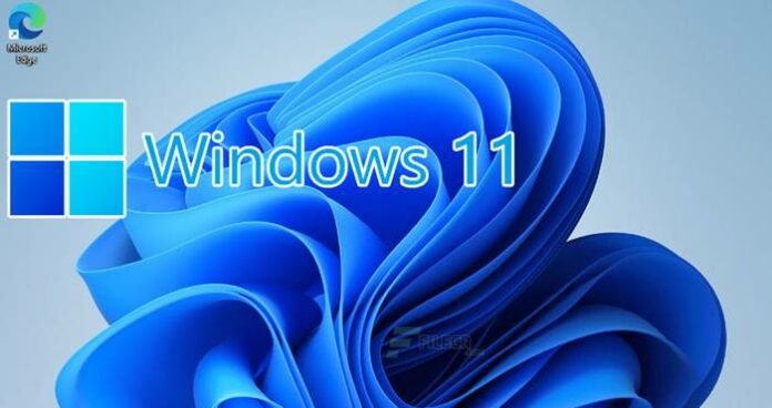 Link Download Windows 11