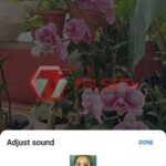 Cara Bikin Video TikTok di YouTube Shorts-5