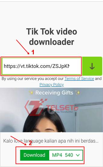 Cara download video TikTok 