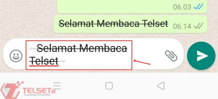 Cara Membuat Tulisan di WhatsApp jadi Tebal, Miring dan Dicoret